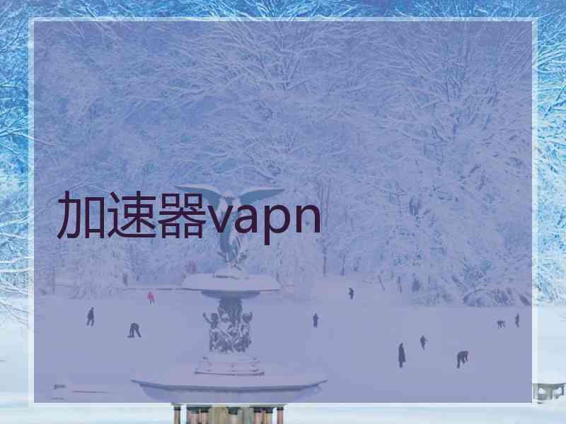 加速器vapn