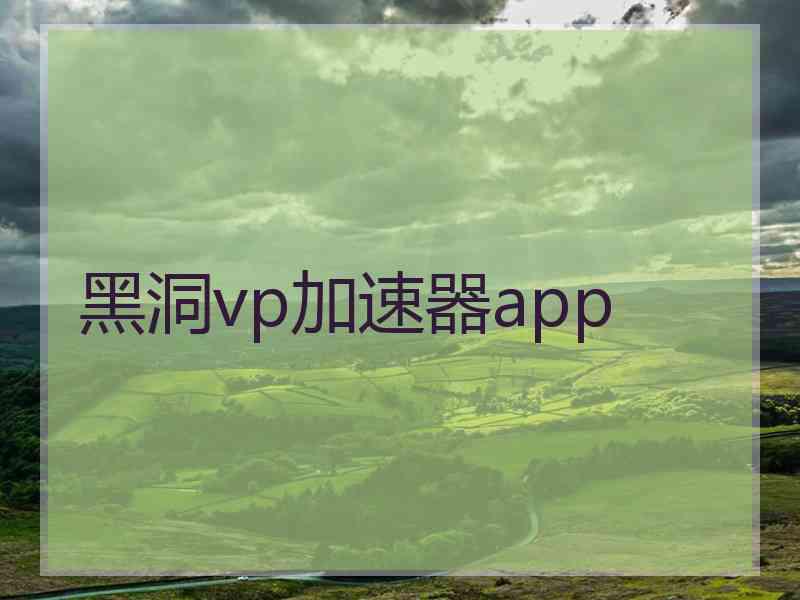 黑洞vp加速器app