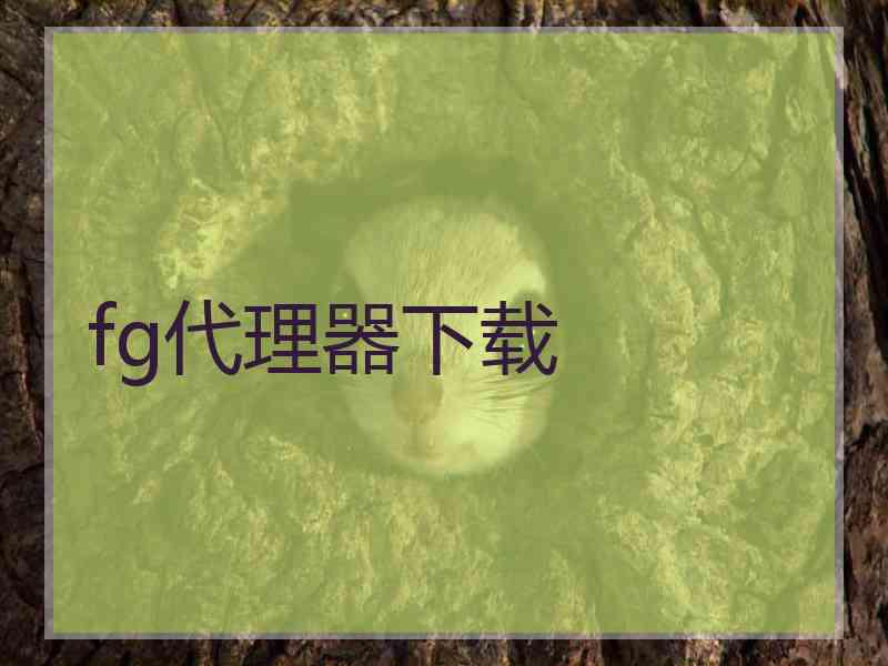 fg代理器下载