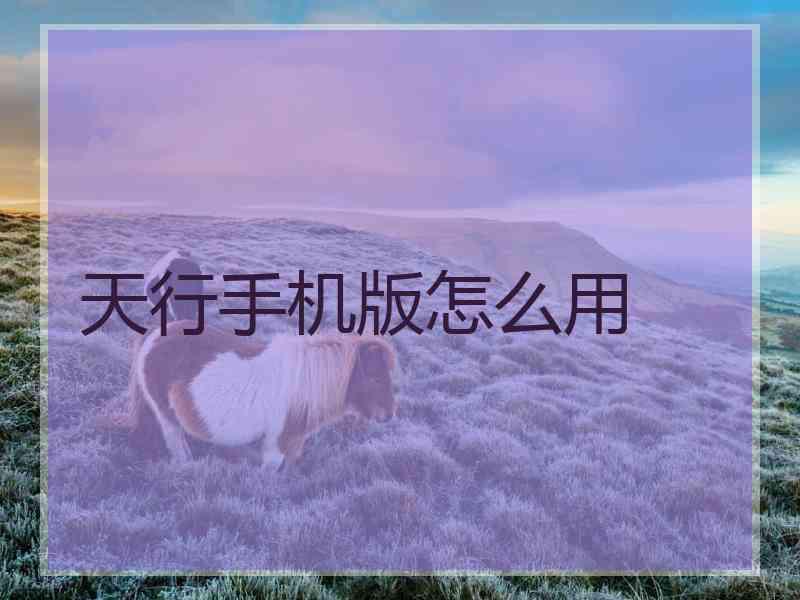 天行手机版怎么用