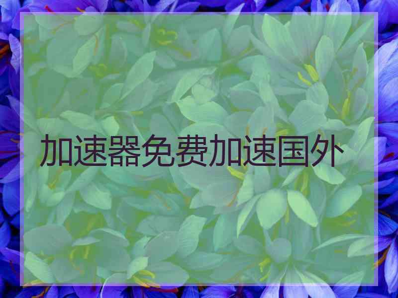加速器免费加速国外