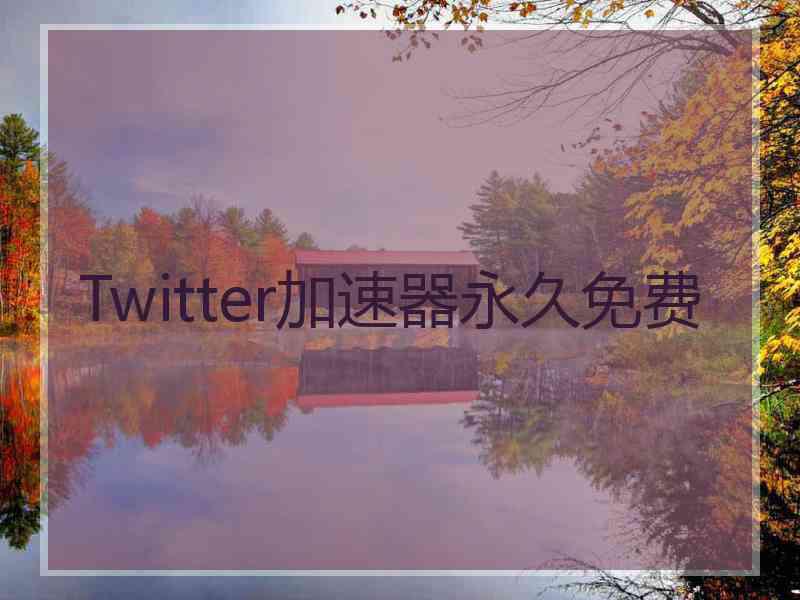 Twitter加速器永久免费