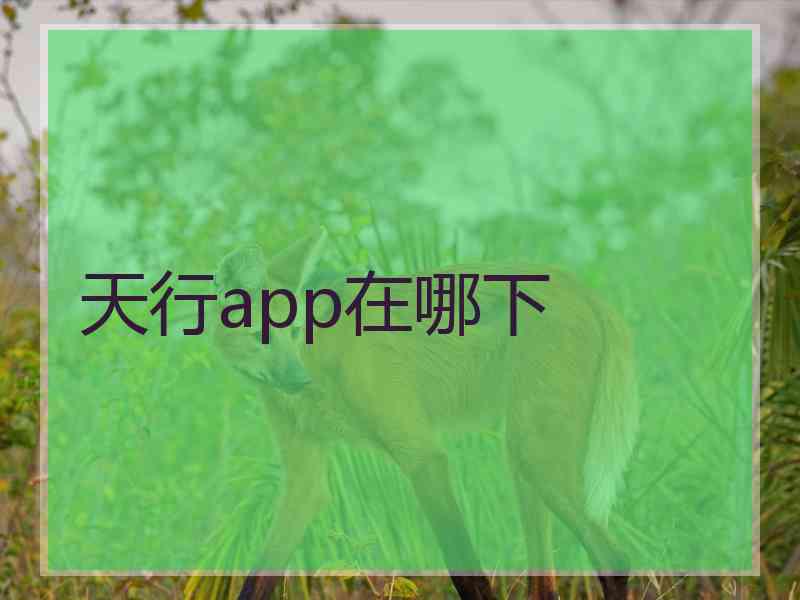 天行app在哪下