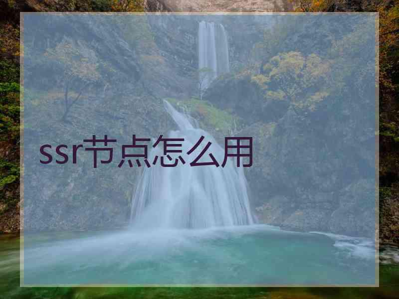 ssr节点怎么用