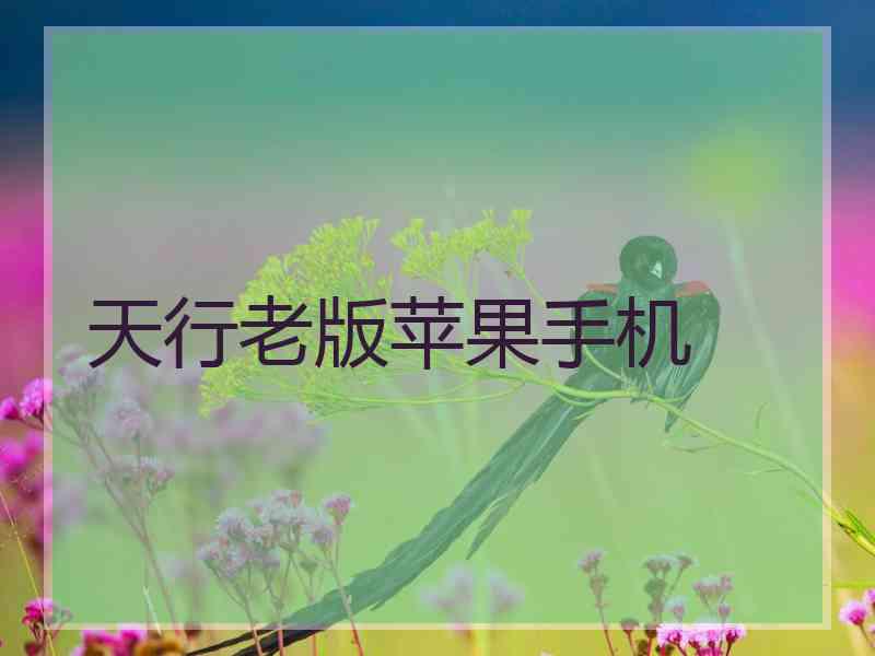 天行老版苹果手机