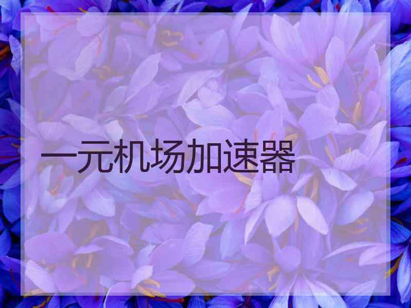 一元机场加速器