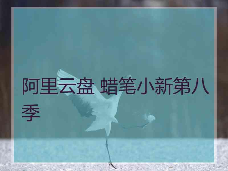 阿里云盘 蜡笔小新第八季