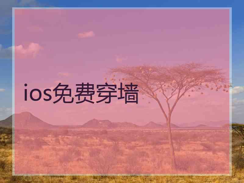 ios免费穿墙