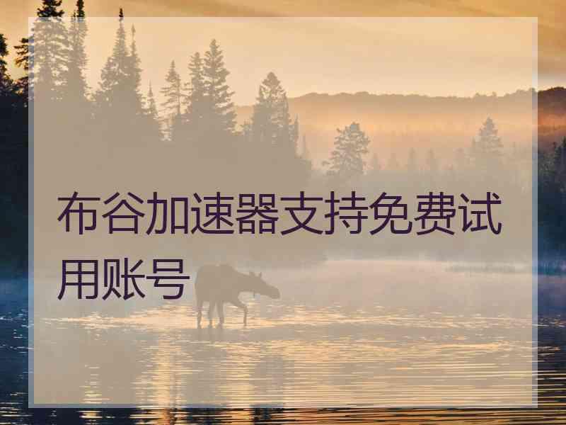 布谷加速器支持免费试用账号