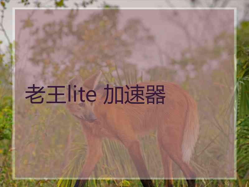老王lite 加速器
