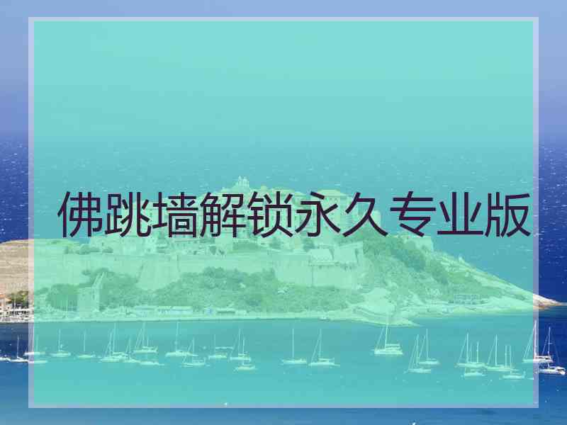 佛跳墙解锁永久专业版