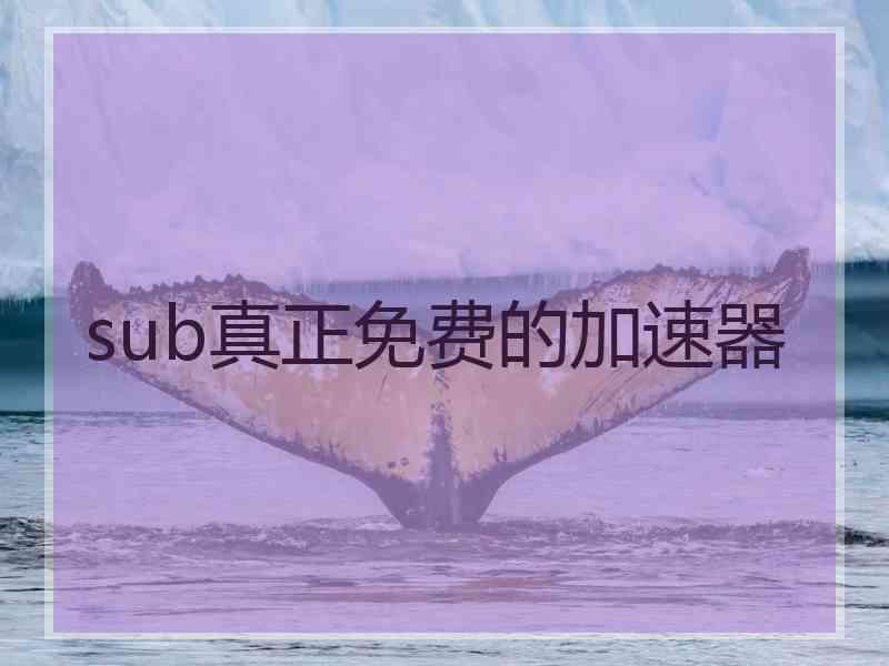 sub真正免费的加速器