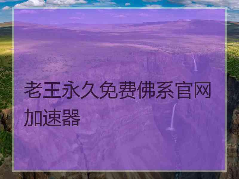 老王永久免费佛系官网加速器