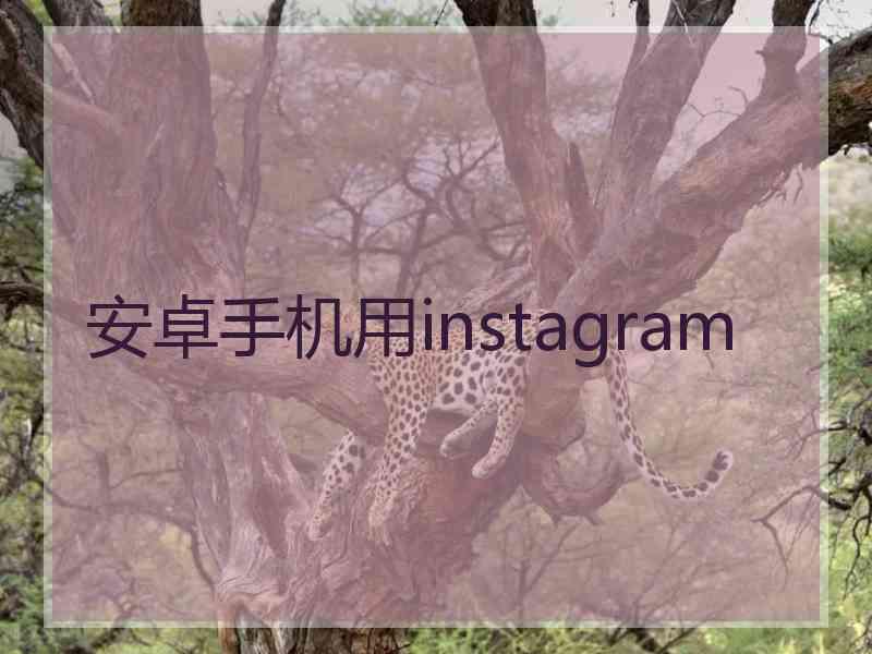 安卓手机用instagram