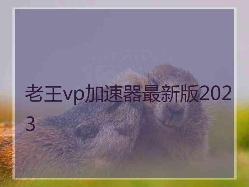 老王vp加速器最新版2023