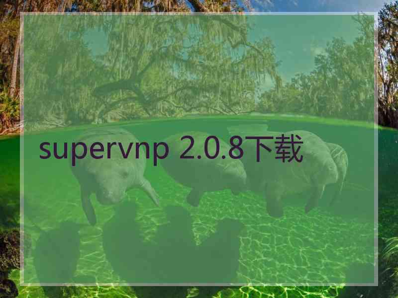 supervnp 2.0.8下载