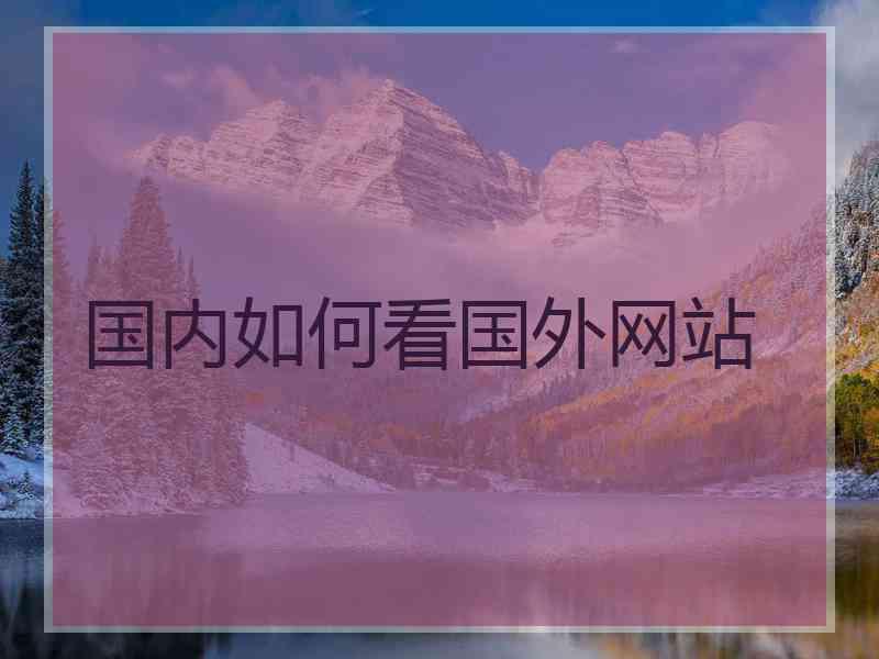 国内如何看国外网站