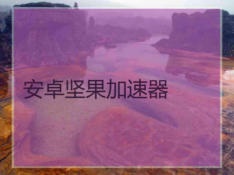 安卓坚果加速器