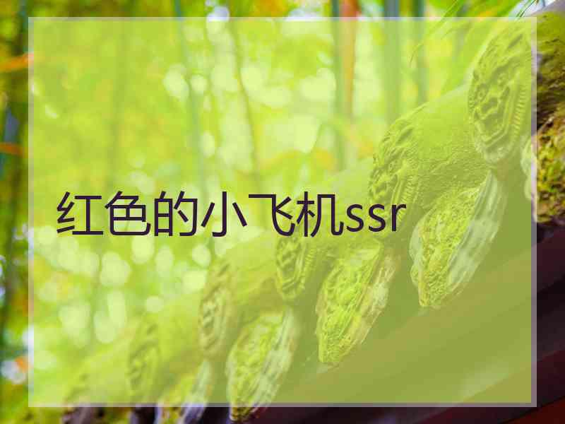 红色的小飞机ssr