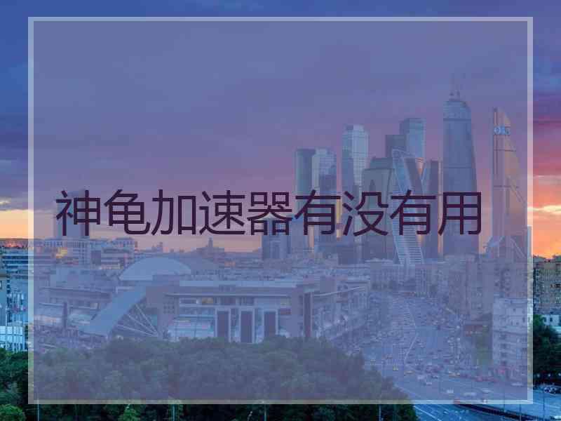 神龟加速器有没有用