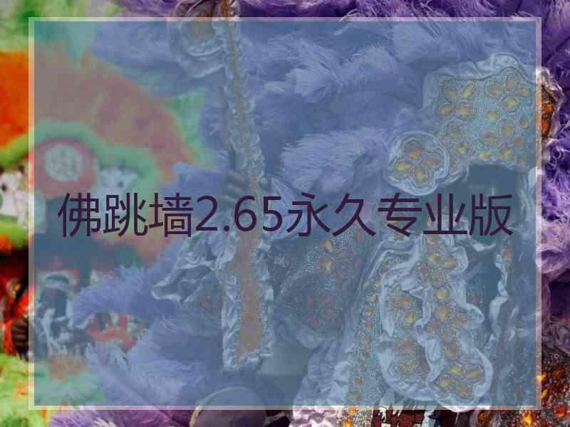 佛跳墙2.65永久专业版