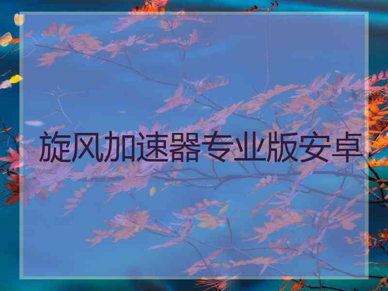 旋风加速器专业版安卓