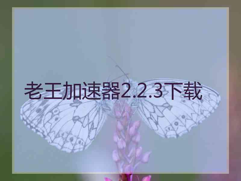 老王加速器2.2.3下载