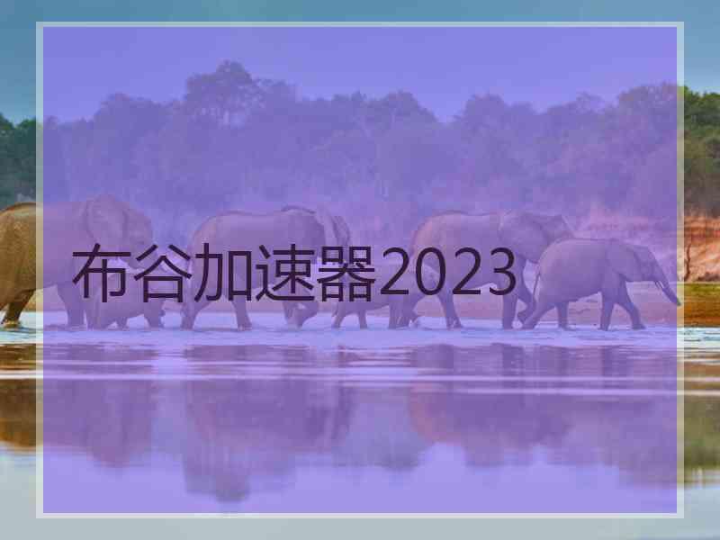 布谷加速器2023