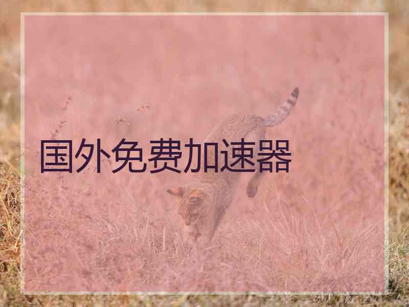 国外免费加速器
