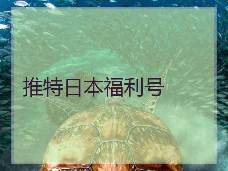 推特日本福利号
