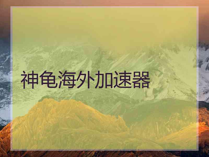 神龟海外加速器
