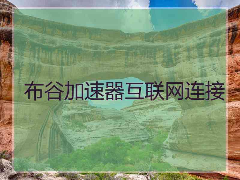 布谷加速器互联网连接