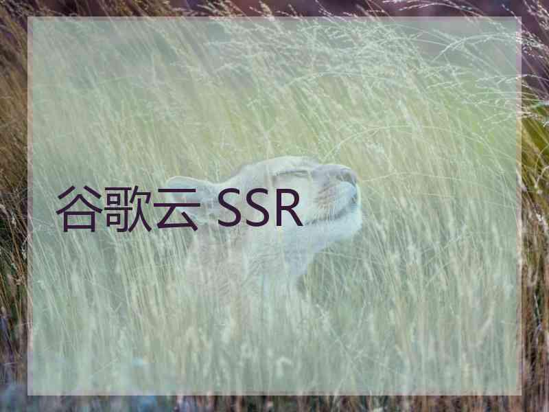 谷歌云 SSR