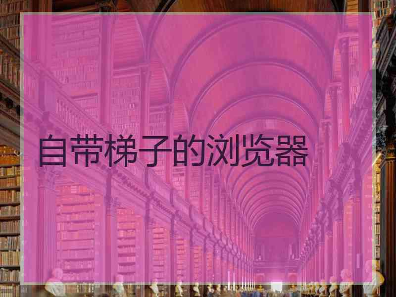 自带梯子的浏览器