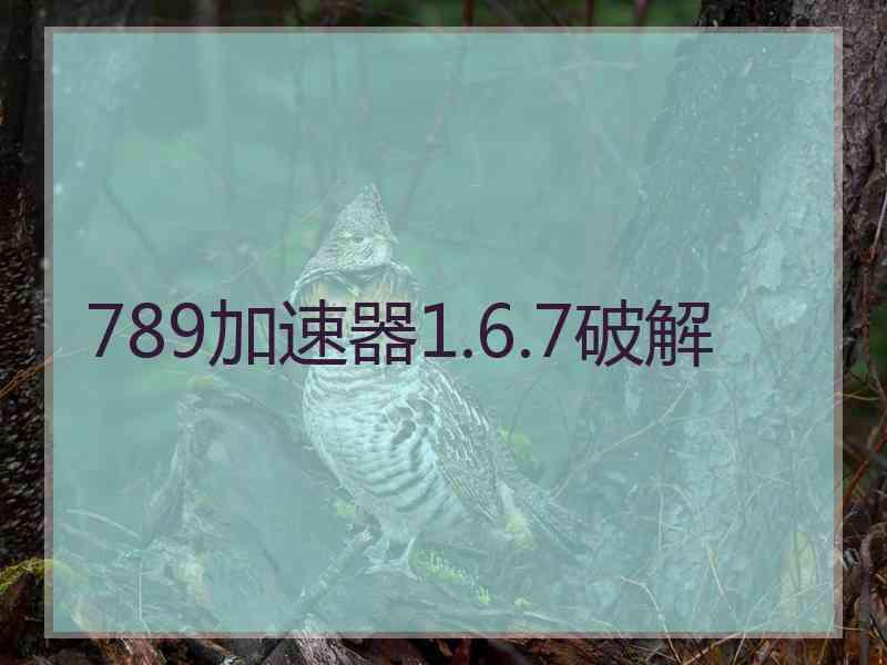 789加速器1.6.7破解