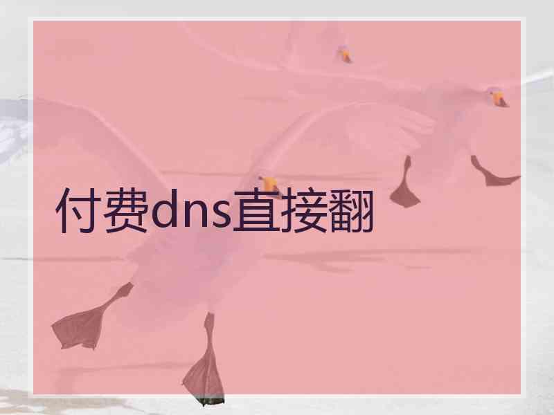 付费dns直接翻
