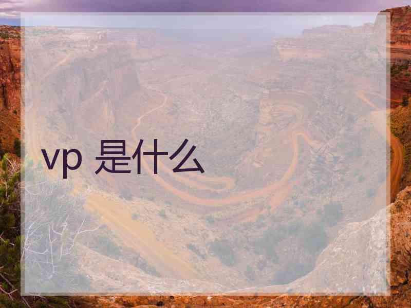 vp 是什么