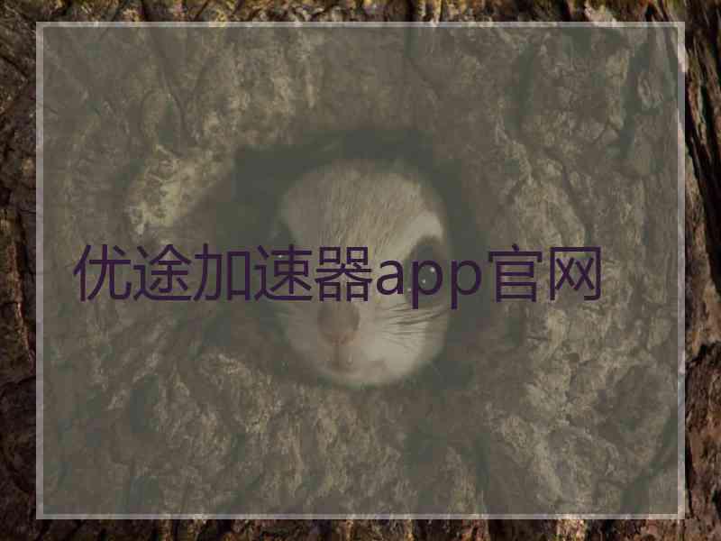 优途加速器app官网
