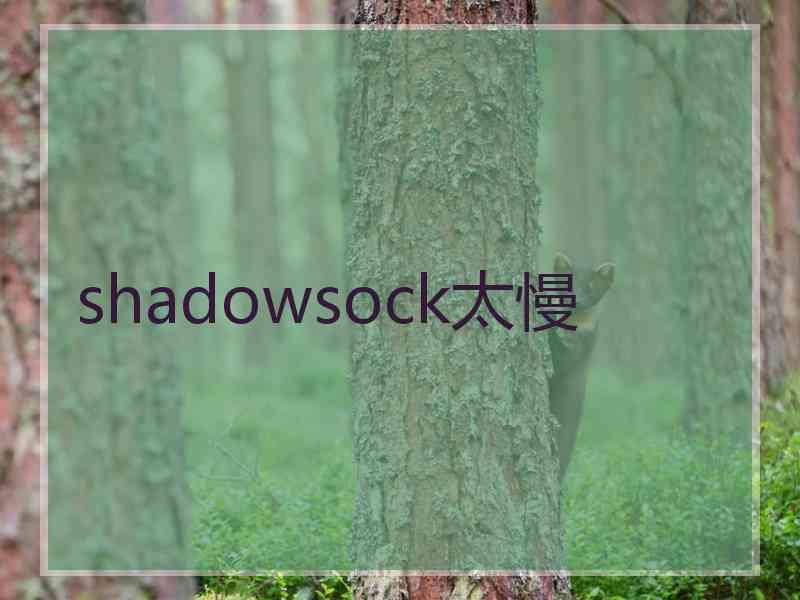 shadowsock太慢