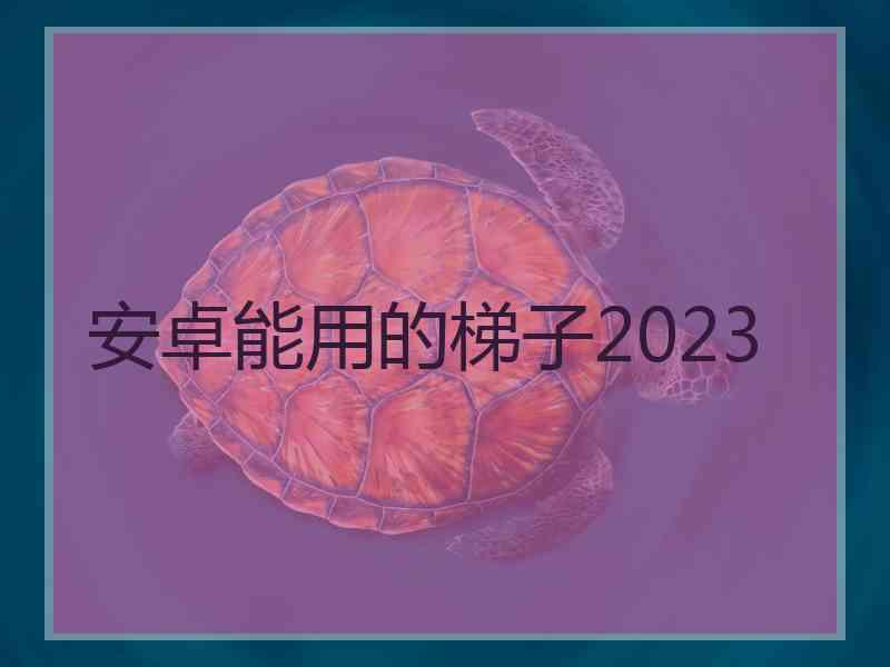 安卓能用的梯子2023