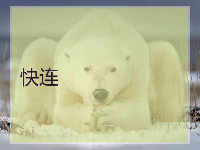 快连