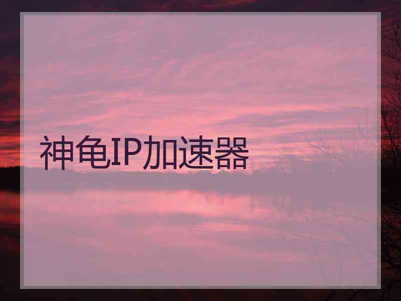 神龟IP加速器