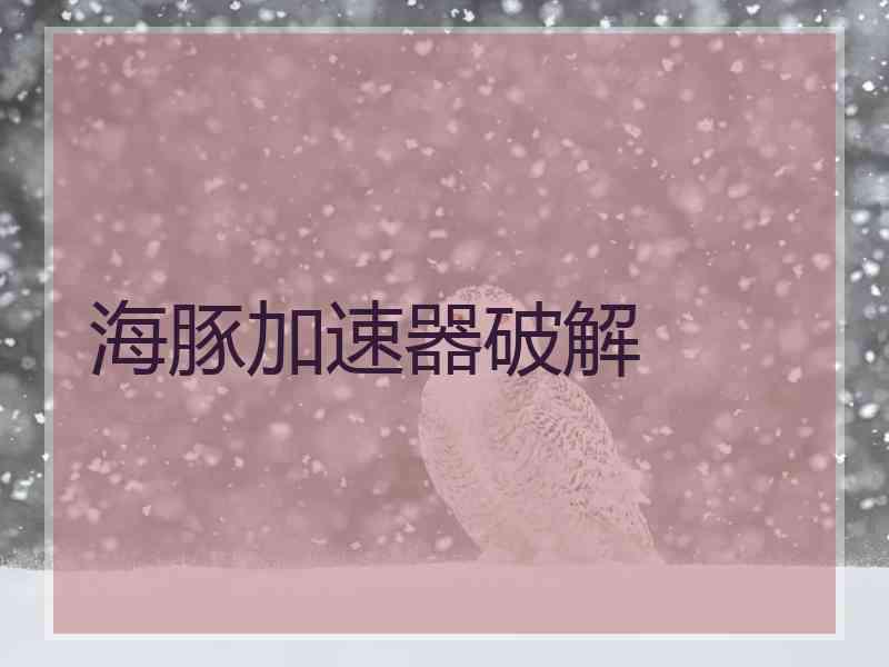 海豚加速器破解