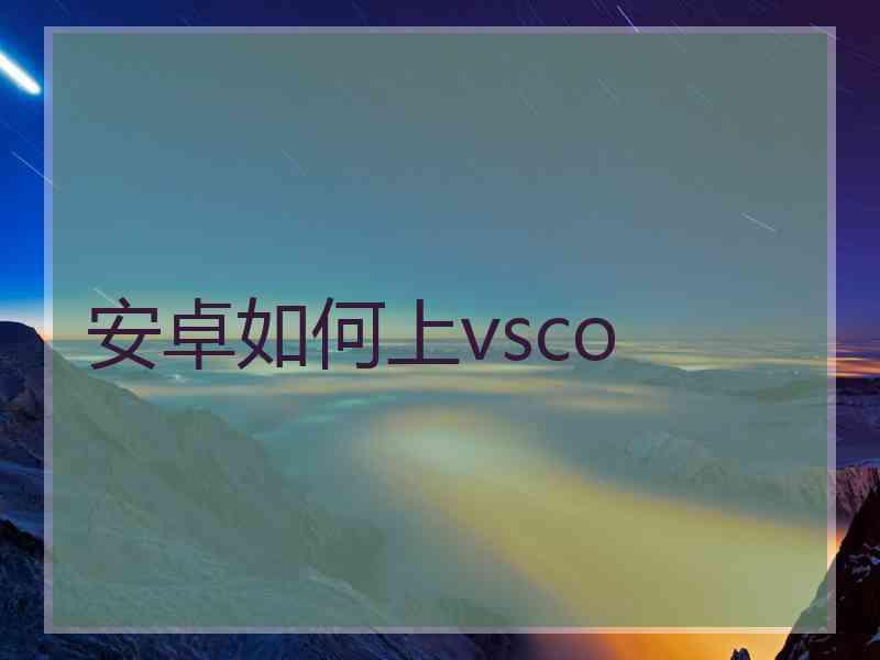 安卓如何上vsco