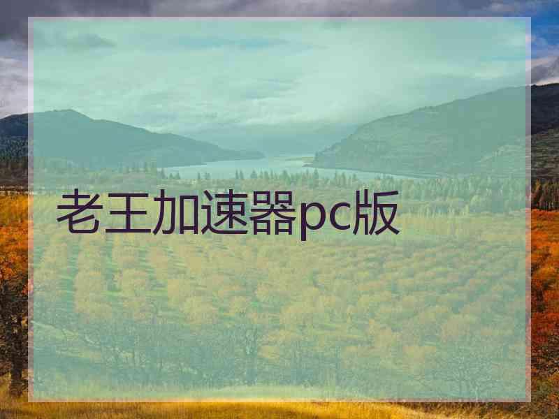 老王加速器pc版
