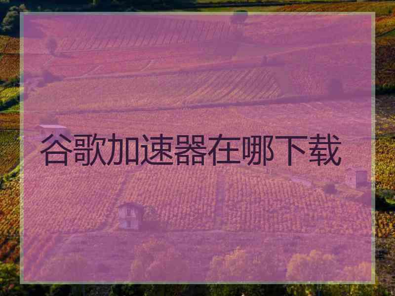 谷歌加速器在哪下载