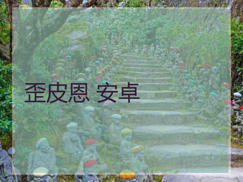 歪皮恩 安卓