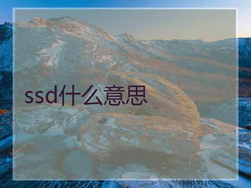 ssd什么意思