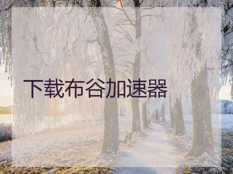 下载布谷加速器