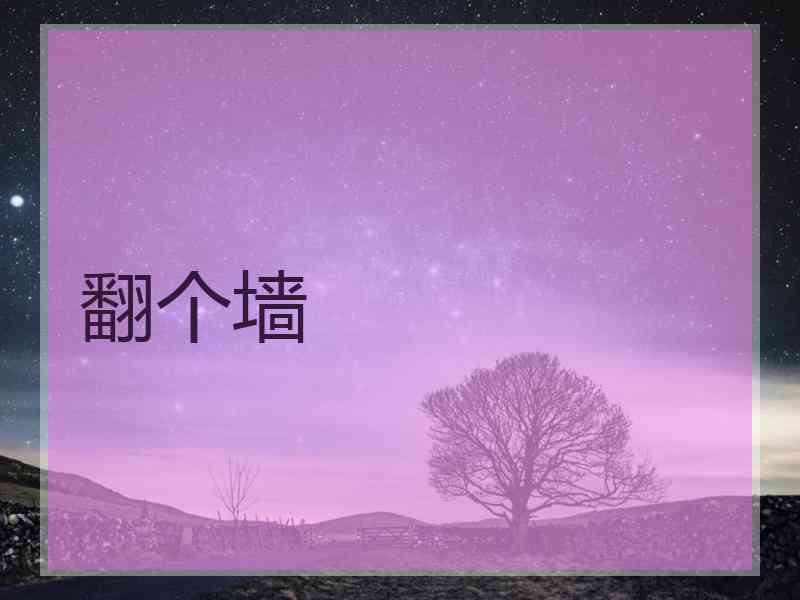 翻个墙